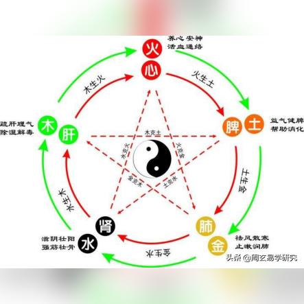 五行经络调养(五行经络视频教程)