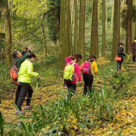 温江到成都市委党校地铁的长尾关键词有哪些