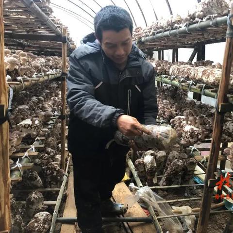 桂林安装大棚招聘相关长尾关键词有哪些