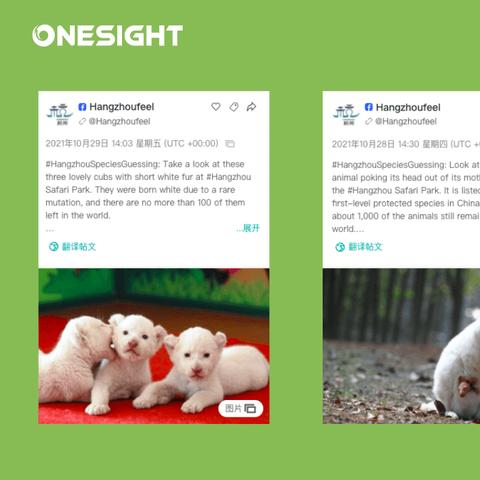 手机怎么绑定facebook账号密码 相关的长尾关键词有什么