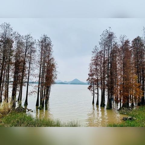 厦门市岛内停车多久免费