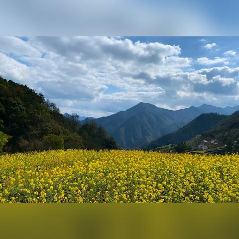 2025年国庆节杭州周边适合自驾的农家乐采摘路线推荐