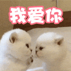 爱死你啦表情包可爱