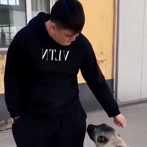 跨境为什么运费暴涨