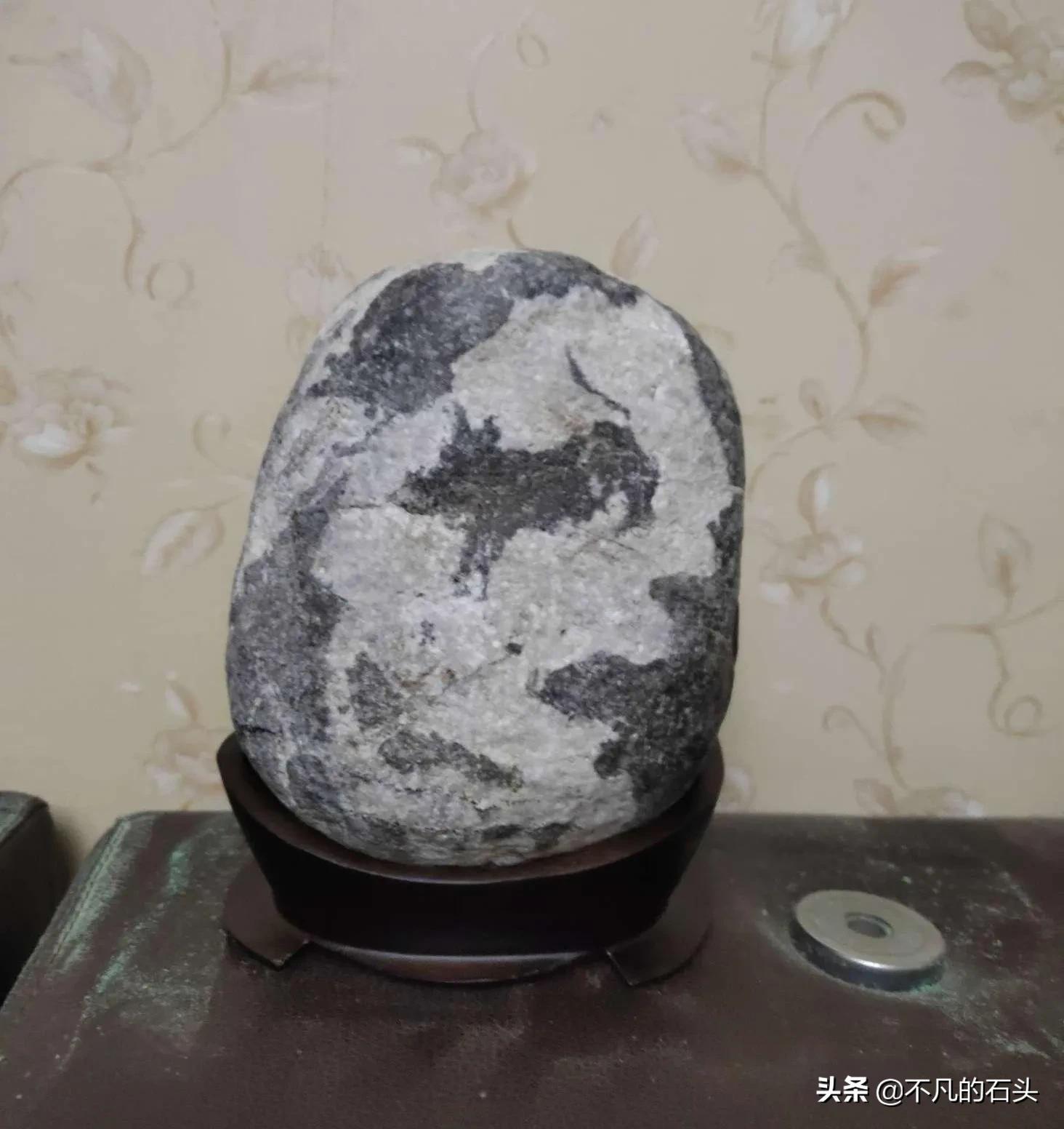 龙宝宝怎么起名女生可爱(有什么脑洞大开的故事)