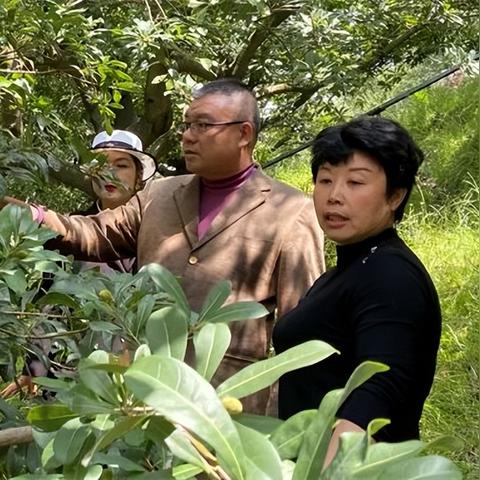 上海冲施肥有哪些