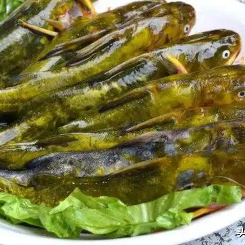 qq游戏昂（QQ游戏昂，乐趣与社交的完美融合）