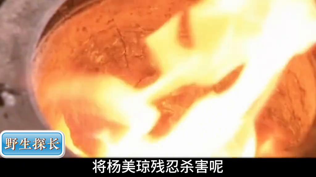 家庭暴力的原因 为什么会家庭暴力