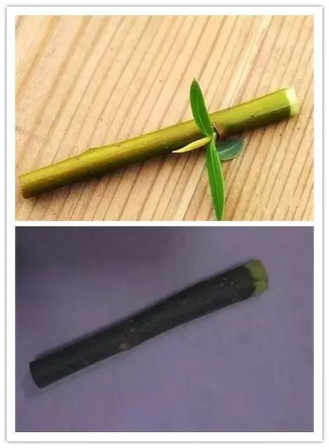 孩子玩具太多有什么影响