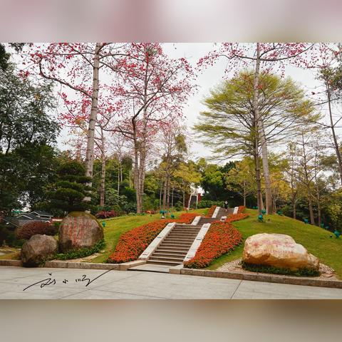 广州市的市花相关长尾关键词有哪些