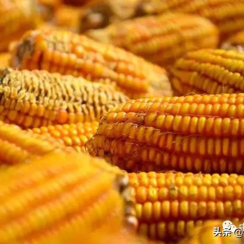 河北省保定市种子工作站的长尾关键词有哪些