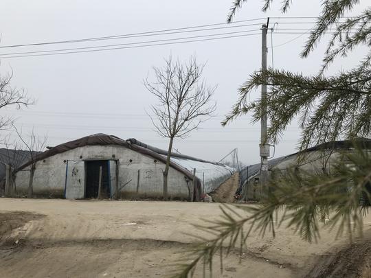 返乡创业，6年投资1000多万，流转1千余亩地，坚持多久？