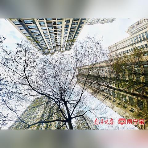 南宁新叶教育怎样的相关长尾关键词有哪些