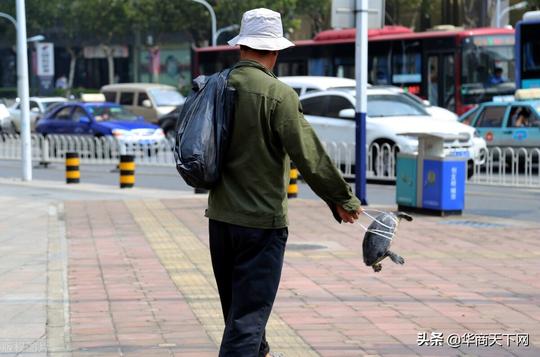 打扮成农民工模样，去街头卖“神龟”，这低级的骗术为何屡骗不绝