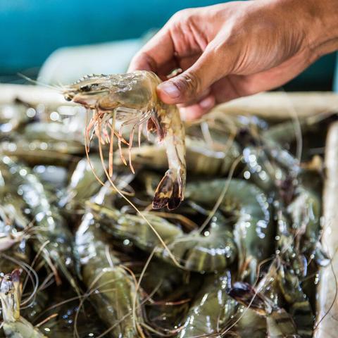 无锡市饲料公司地址在哪里