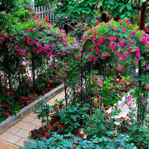 桂林市锦什么花园