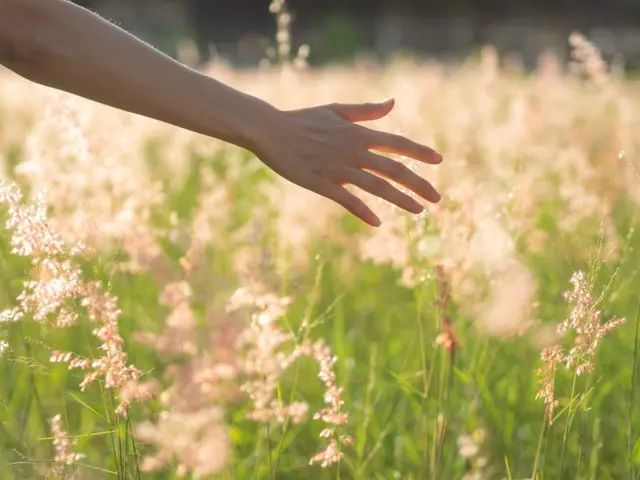 微商大师好用吗 微商宝好用吗