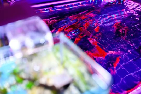 西安这个曾经全国最大的毛巾厂，现在竟搞起了花鸟鱼市的生意