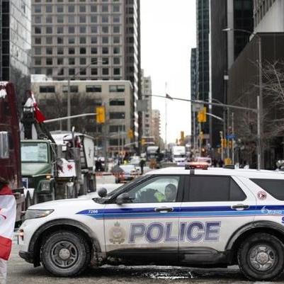 香港跨境司机有多少个