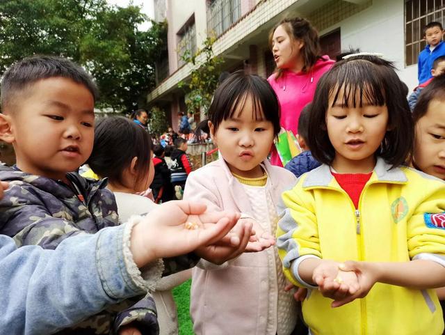 幼儿园植树节活动报道美篇