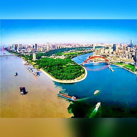 重庆和武汉市哪个发展好