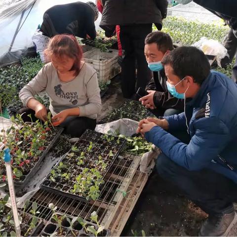 农业职称申报流程详细步骤？