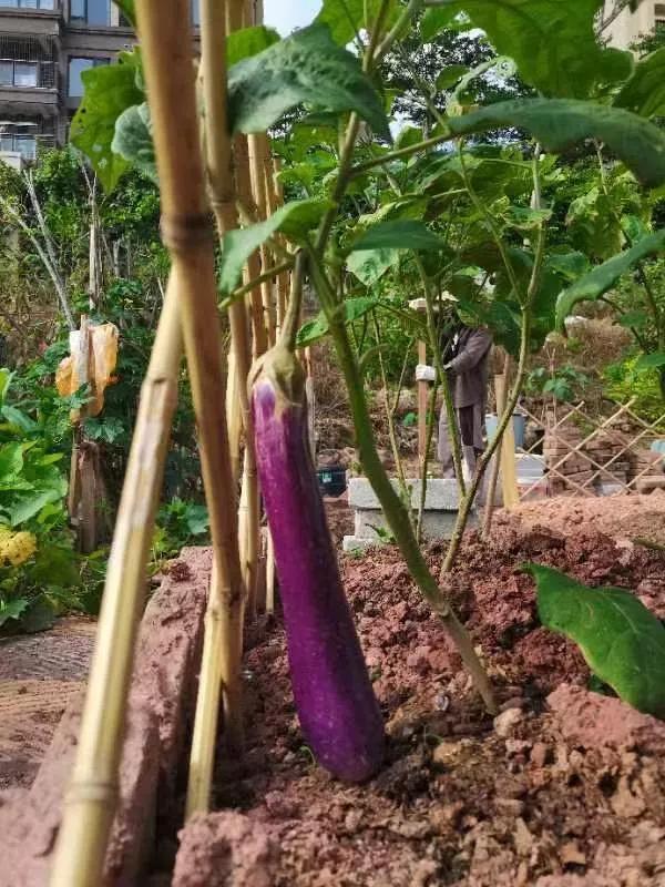 【青岛疫情最新消息今天封城了
 /青岛疫情最新消息今天封城了吗】