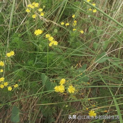 兰州市三台阁在哪里