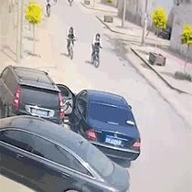 关于养狗在上海怎么租房便宜相关关键词有哪些