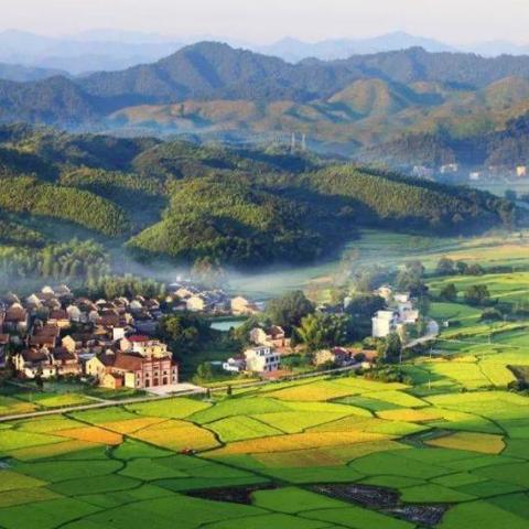 杭州哪个区最适合居住？