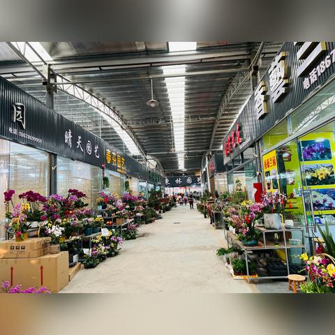 广州市都有什么市场