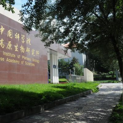 与河南和甘肃同时接壤的省份？