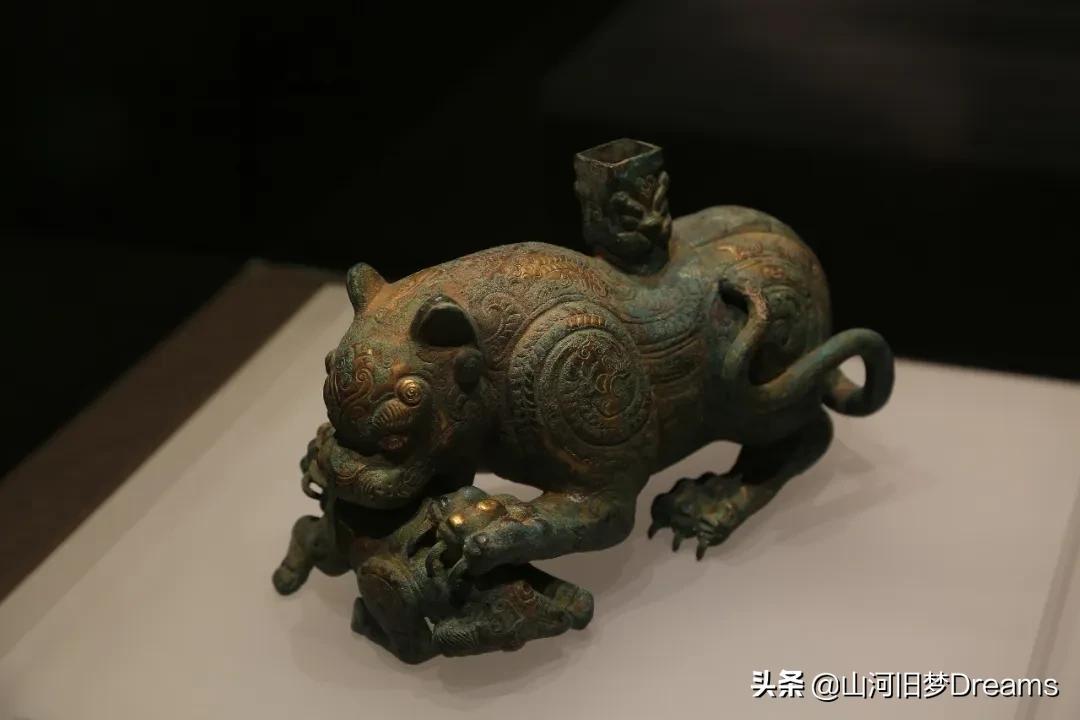 姓秦虎年女宝宝起名,为什么十二生肖没有猫