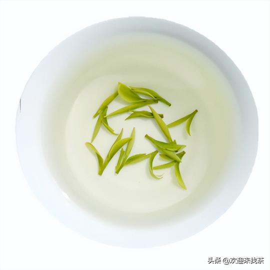 茉莉花茶，为什么北方人爱之如命，南方人却不屑饮之
