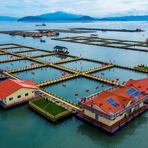 福建儿童垃圾分类歌曲的相关长尾关键词有哪些