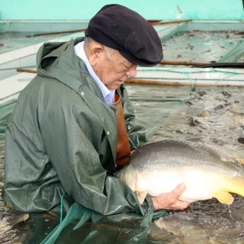 天津哪个鱼最多