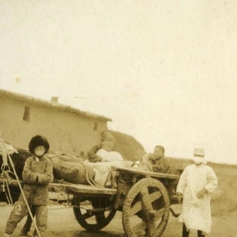 哈尔滨抗击鼠疫的案例相关长尾关键词有哪些