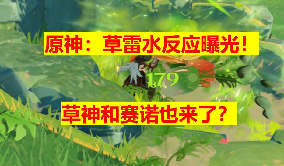 原神勤劳的哲学副本怎么开（原神挂水角色介绍）