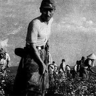 南通高山老农油辣椒价格相关长尾关键词有哪些