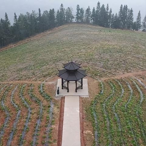 武汉市建设乡墓地叫什么