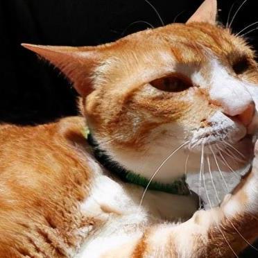 河南省哪个医院有鞋垫