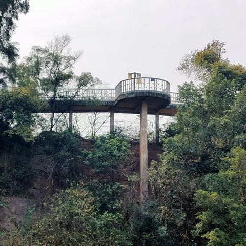 广州市南沙是什么区