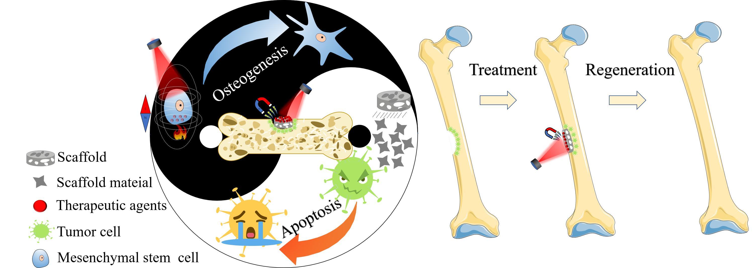 材料研究与应用学术期刊一篇完整的研究论文应该包含哪些元素