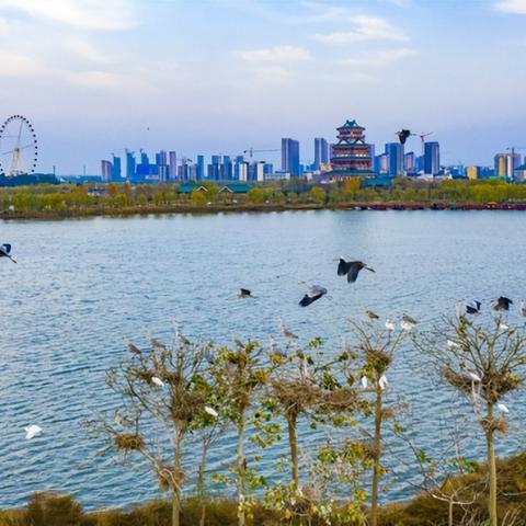 菏泽市清禾百货店电话多少