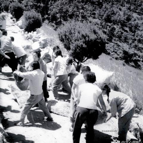 周口市项城洪水的长尾关键词有什么