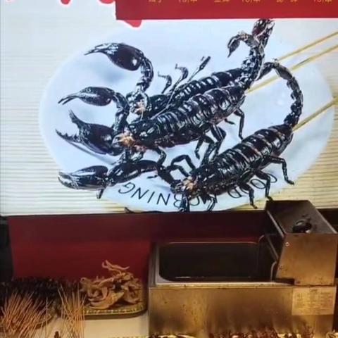 长沙羊蝎子在哪买相关长尾关键词有哪些