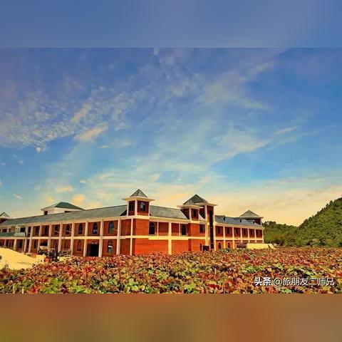 广州市到马坝有多少公里