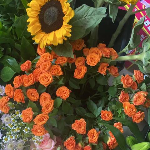 大连市哪个地方卖农家菜