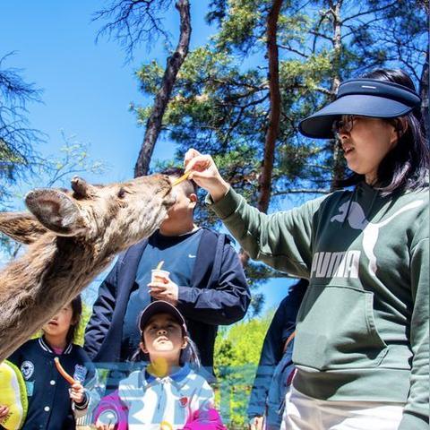 给i迷你（给i迷你的奇妙世界）