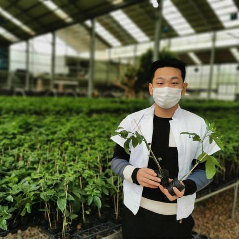 福建综合酵素生产的相关长尾关键词有哪些